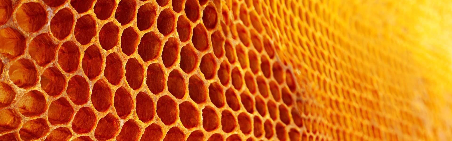 Beeswax in Manufacturing: A Sustainable Industrial Solution
